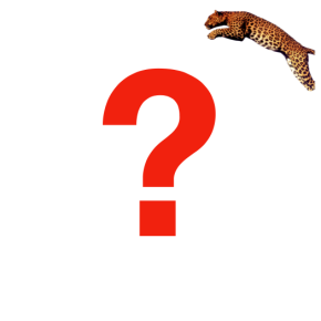 Dess. 9571 ????? Ensfarvet, NYLON "JAGUAR"